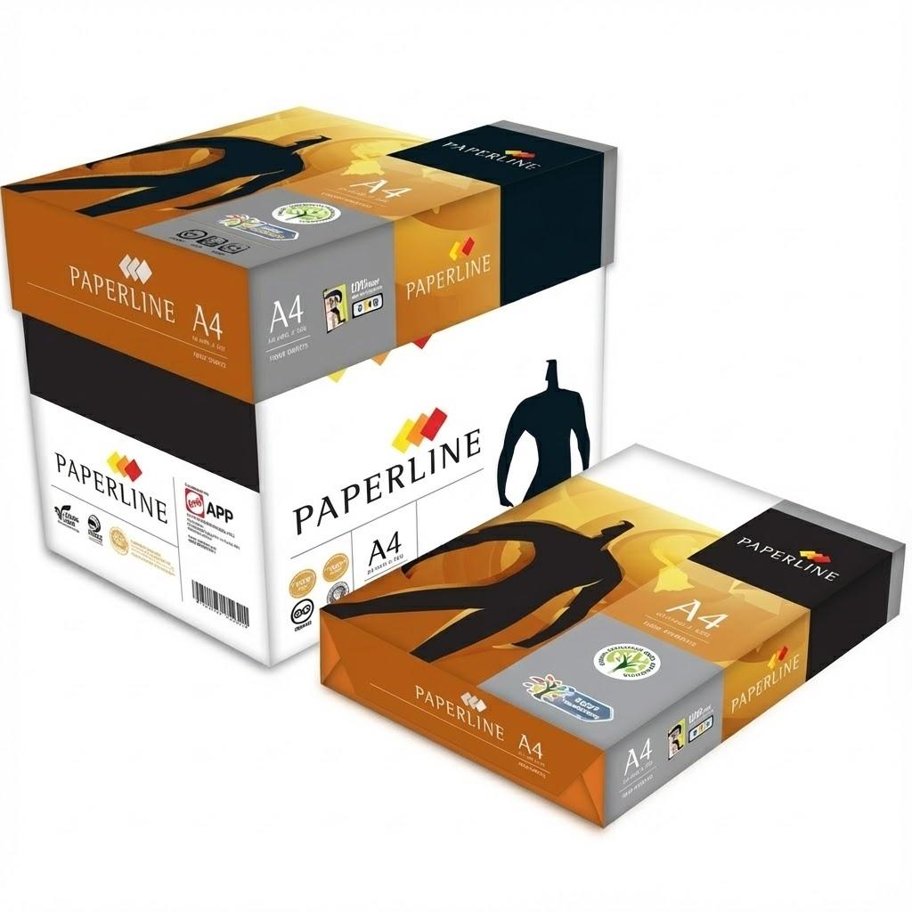 Cs Papier Blanc 8.5x11 PAPERLINE Caisse de10 RMS
